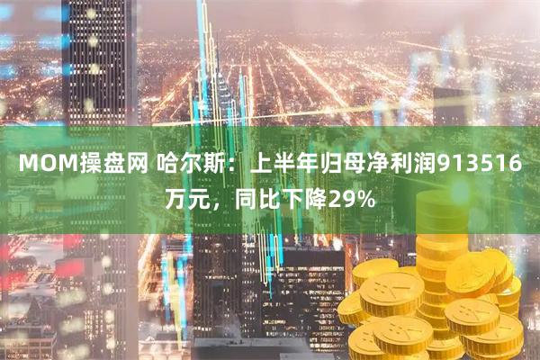 MOM操盘网 哈尔斯：上半年归母净利润913516万元，同比下降29%