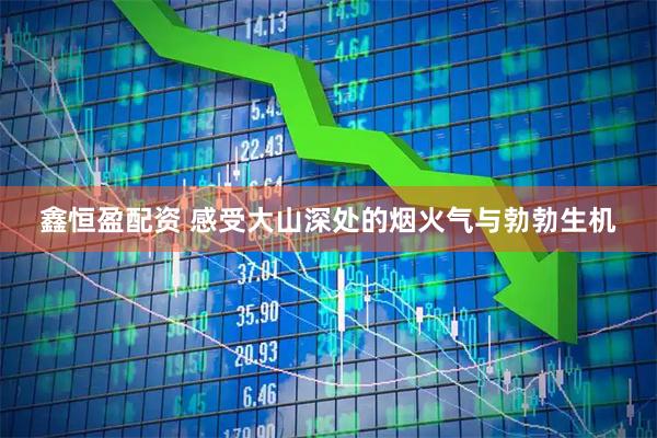 鑫恒盈配资 感受大山深处的烟火气与勃勃生机