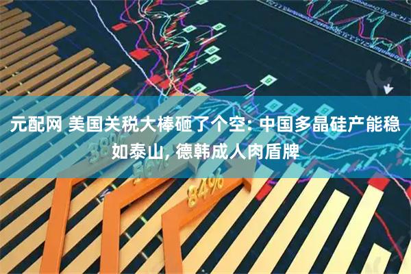 元配网 美国关税大棒砸了个空: 中国多晶硅产能稳如泰山, 德韩成人肉盾牌